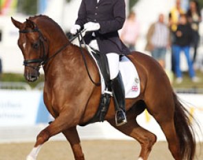 Emile Faurie and Duke Ellington at the 2013 World Young Horse Championships :: Photo © Astrid Appels