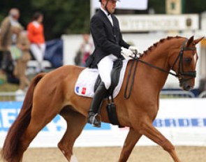 Domingho H at the 2013 World Young Horse Championships in Verden, Germany :: Photo © Astrid Appels
