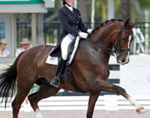 Brittany Fraser and All In at the 2013 CDI Wellington :: Photo © Sue Stickle