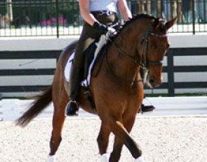 Cassie Schmidt on Velasquer :: Photo © Emily E. Smith