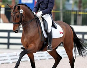 Chris von Martels and Zilverstar competing in Wellington, FL :: Photo © Sue Stickle