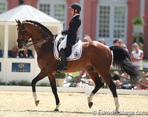 Don Quichot competing in the Grand Prix at the prestigious CDI Wiesbaden in Germany :: Photo © Astrid Appels