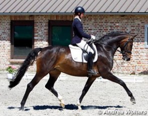 Lydia Camp and Serenissima RH at the 2013 Willich Sommer Dressage Festival :: Photo © Andrea Wolters