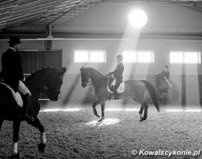 Early morning training session at the 2013 CDI Zakrow :: Photo © Lukasz Kowalski