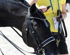 For the Grand Prix Special prize giving ceremony Rath rode a "fake" Totilas with similar white markings literally painted on a black horse's face!