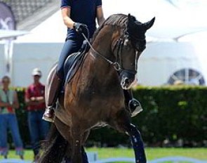 Charlotte Dujardin schooling Valegro