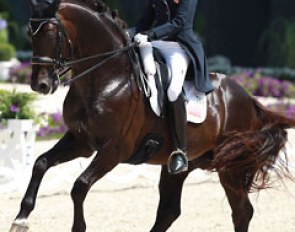 American Tina Konyot on Calecto V had too many mistakes to crack a 70% score. Breaks in the rhythm, a crooked final extended trot and a croup high passage reduced their score to 67.560%