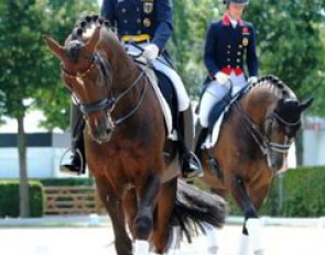 The two biggest rivals of the 2013-2014 show season so far: Helen Langehanenberg on Damon Hill and Charlotte Dujardin on Valegro