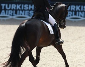 Canadian WEG team rider David Marcus on Chrevi's Capital