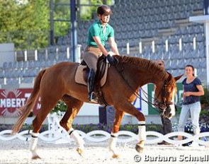 Isabell Werth schooling Bella Rose in the main ring at the 2014 CDIO Aachen :: Photo © Barbara Schnell