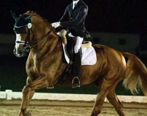 Lucas Alecco Roy and Wisdom at the 2014 CDI-PJYR Babenhausen :: Photo © Rainer Dill