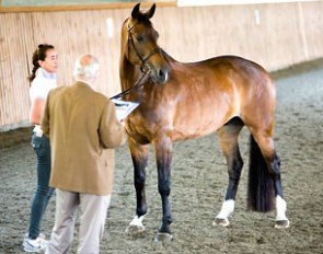 Beatriz Ferrer-Salat presenting her horse to judge Paco Guerra at the vet inspection of the 2014 Spanish Dressage Championships in Can Alzina, Spain :: Photo © Top Iberian