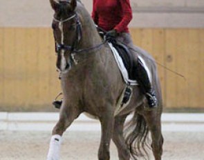 Under 25 rider Simona Aeberhard on Private Dancer