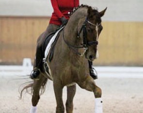 Simona Aeberhard on Private Dancer
