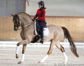 Celine Balmer on Rosetti at the 2014 Helen Langehanenberg clinic in Berne, Switzerland :: Photo © Silke Rottermann