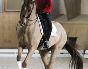 Celine Balmer on Rosetti