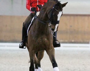 Celine König on the Belgian warmblood Saturnus
