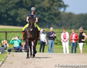 The New Zealand and Australian judges on their euro tour through Germany, here visiting Silvia Rizzo's Hof Marabunta in Bissendorf :: Photo © Astrid Appels