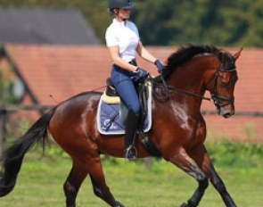 Veronique van Beukelen on Silvia Rizzo's 3-year old Oldenburg bred Donnerbaldo (by Donnerbube 2)