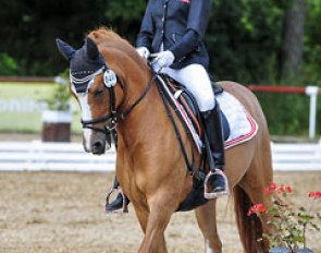 Alessa Louisa Djaber Ansari on De Luxe