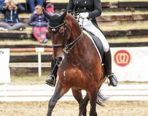Dina Ellermann on Landy's Akvarel