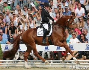 Bonamour at the 2014 Bundeschampionate in Warendorf :: Photo © LL-foto