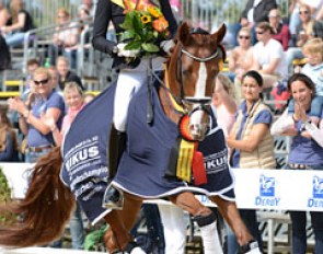 Bundeschampion Tanzbar T for sale at the 17th Ponyforum Open Sales