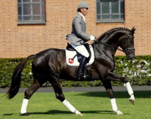 Dannebrog (by Don Schufro x Brentano II) :: Photo © Marc Ruhl