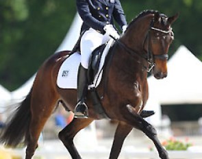 Mary Hanna and Boogie Woogie at the 2014 CDI Compiegne :: Photo © Astrid Appels