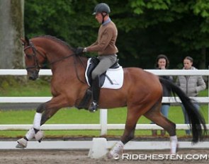 Jan Christensen and Rossetti at the 2014 Danish WCYH Selection Trial :: Photo © Ridehesten