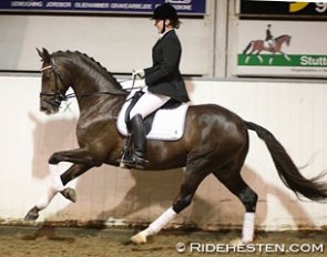 Vita Molgaard aboard the Danish warmblood stallion Dicardo :: Photo © Ridehesten