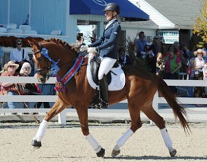 Kim Gentry and Frasier at the 2014 CDI-W Devon :: Photo © Hoof Print Images