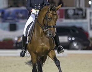 Ashley Holzer and Tiva Nana at the 2014 CDI-W Devon :: Photo © Stacy Lynne Photography