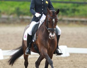 Rebecca Bell on Valido's Sunshine