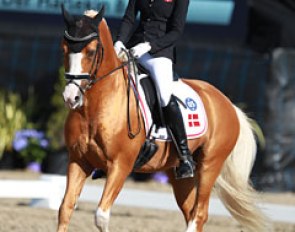 Sandra Aagaard Hyrm on Der Harlekin B