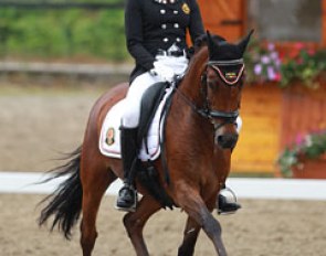 Laura Luyten on Nieuwmoeds Rudo