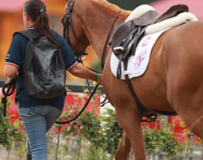 Can hardly believe that this jumper is an actual pony