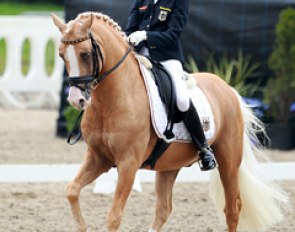 Semmieke Rothenberger on Deinhard B