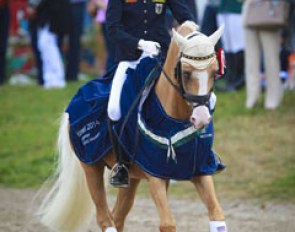 Semmieke Rothenberger and Deinhard B win individual test gold at the 2014 European Pony Championships