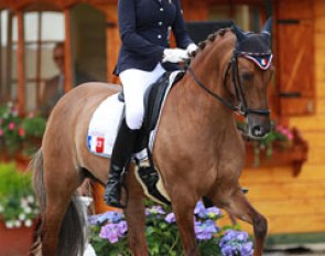 Clarissa Stickland on Diana