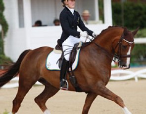 Emelie Aldenfalk and Winton at the 2014 European Junior Riders Championships :: Photo © Astrid Appels