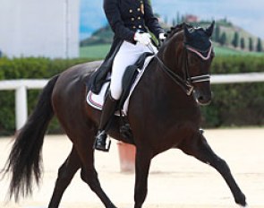 Carina Brynildsen and Shiraz Black at the 2014 European Junior Riders Championships :: Photo © Astrid Appels