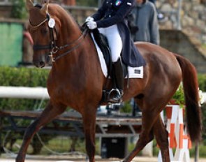 Alice Campanella on Varisto
