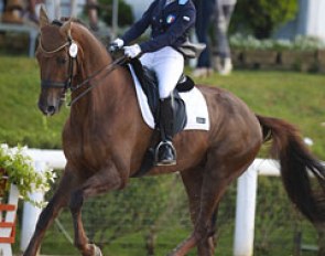 Alice Campanella and Varisto at the 2014 European Junior Riders Championships in Arezzo, Italy :: Photo © Astrid Appels