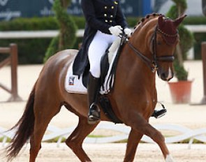 Julia de Ridder on Comtessa
