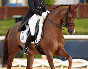 Julia de Ridder on Comtessa