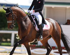 Sille Engermann on Fernet D