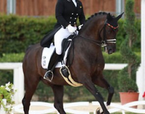 Juliette Piotrowski on Sir Diamond