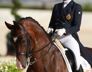 Belgian Laurence Roos on Fil Rouge (by Stedinger x Argentinus)
