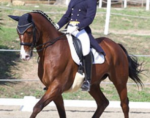 Miguel Castelo and Weserprinz at the 2014 Portuguese Junior Riders Championships :: Photo © Rui Pedro Godinho